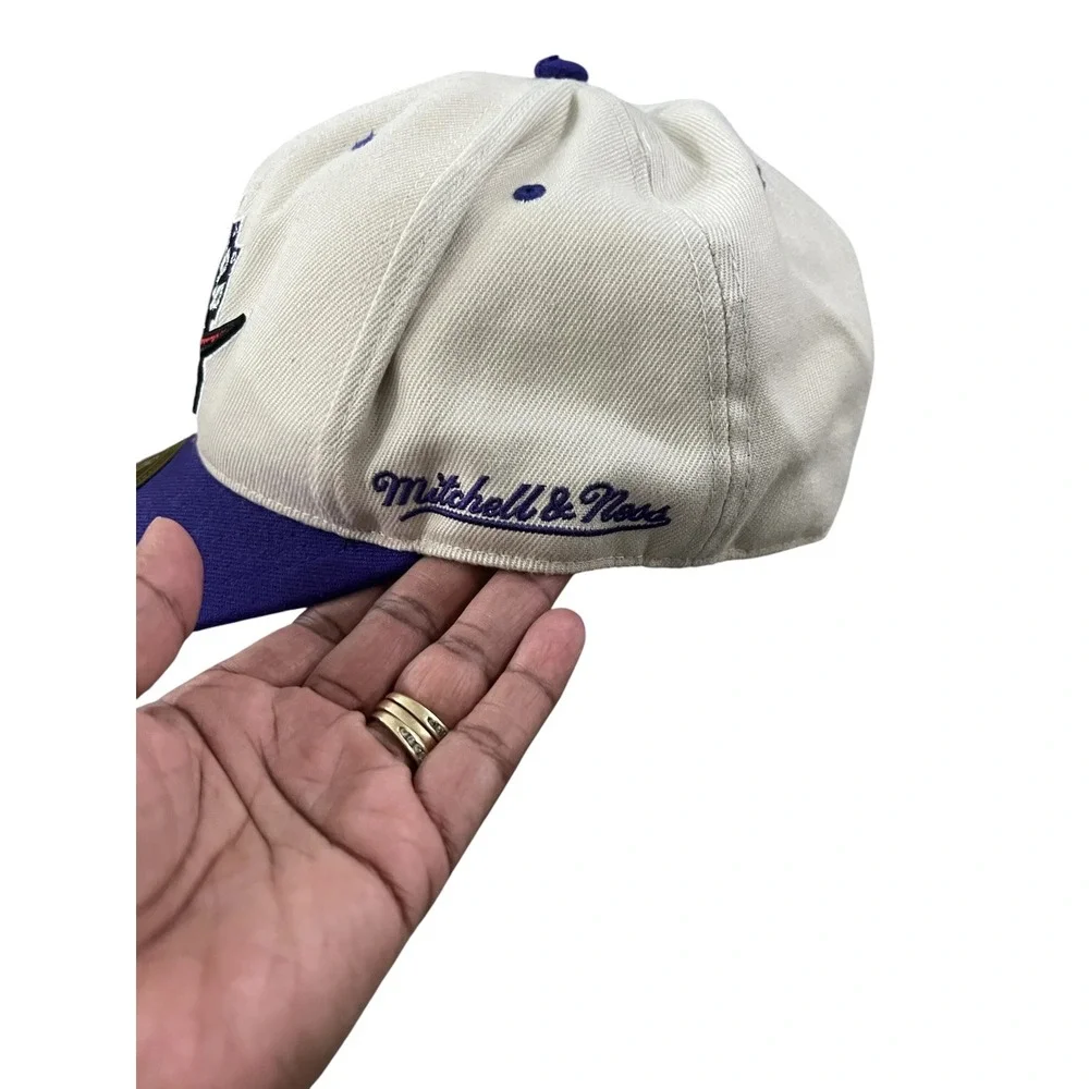 Mitchell & Ness Toronto Raptors Hardwood Classics Two-Tone Snapback Hat - Sz 8